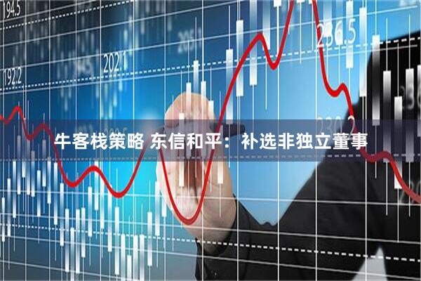 牛客栈策略 东信和平：补选非独立董事