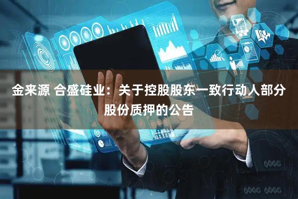 金来源 合盛硅业：关于控股股东一致行动人部分股份质押的公告