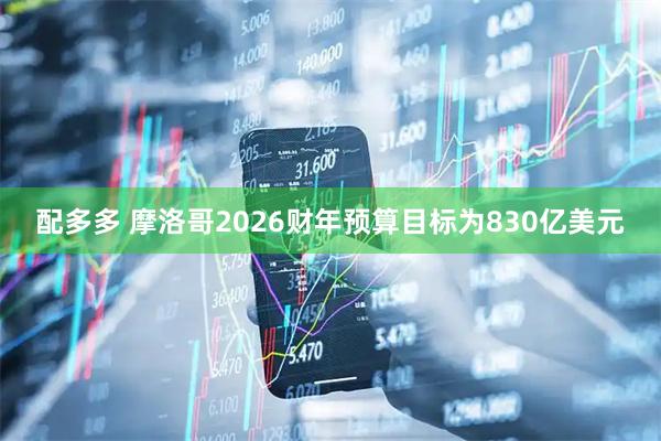 配多多 摩洛哥2026财年预算目标为830亿美元