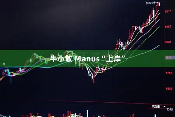 牛小散 Manus“上岸”
