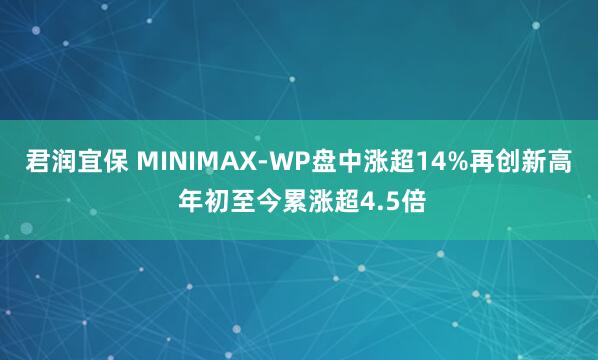 君润宜保 MINIMAX-WP盘中涨超14%再创新高 年初至今累涨超4.5倍